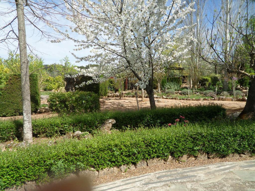 Bed and Breakfast Monte Da Fornalha Борба Экстерьер фото